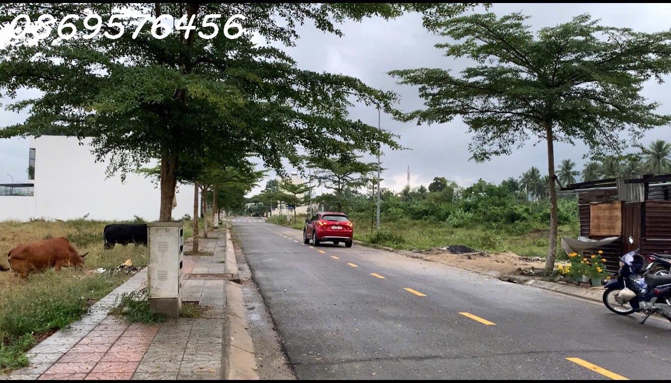 z7170299865777_621a8ebafdc59b2df8c5482478889bd6