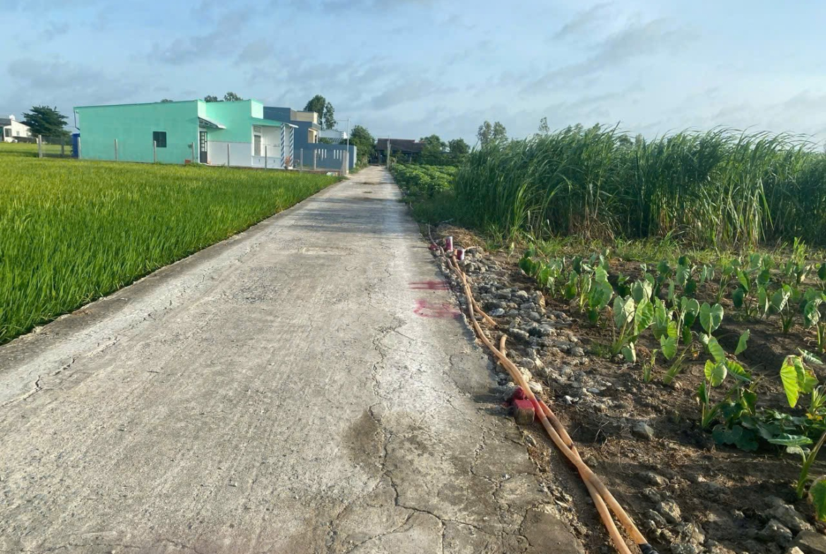 z7170309525631_7df75a4a994e79b79dcce8eed970fdc2