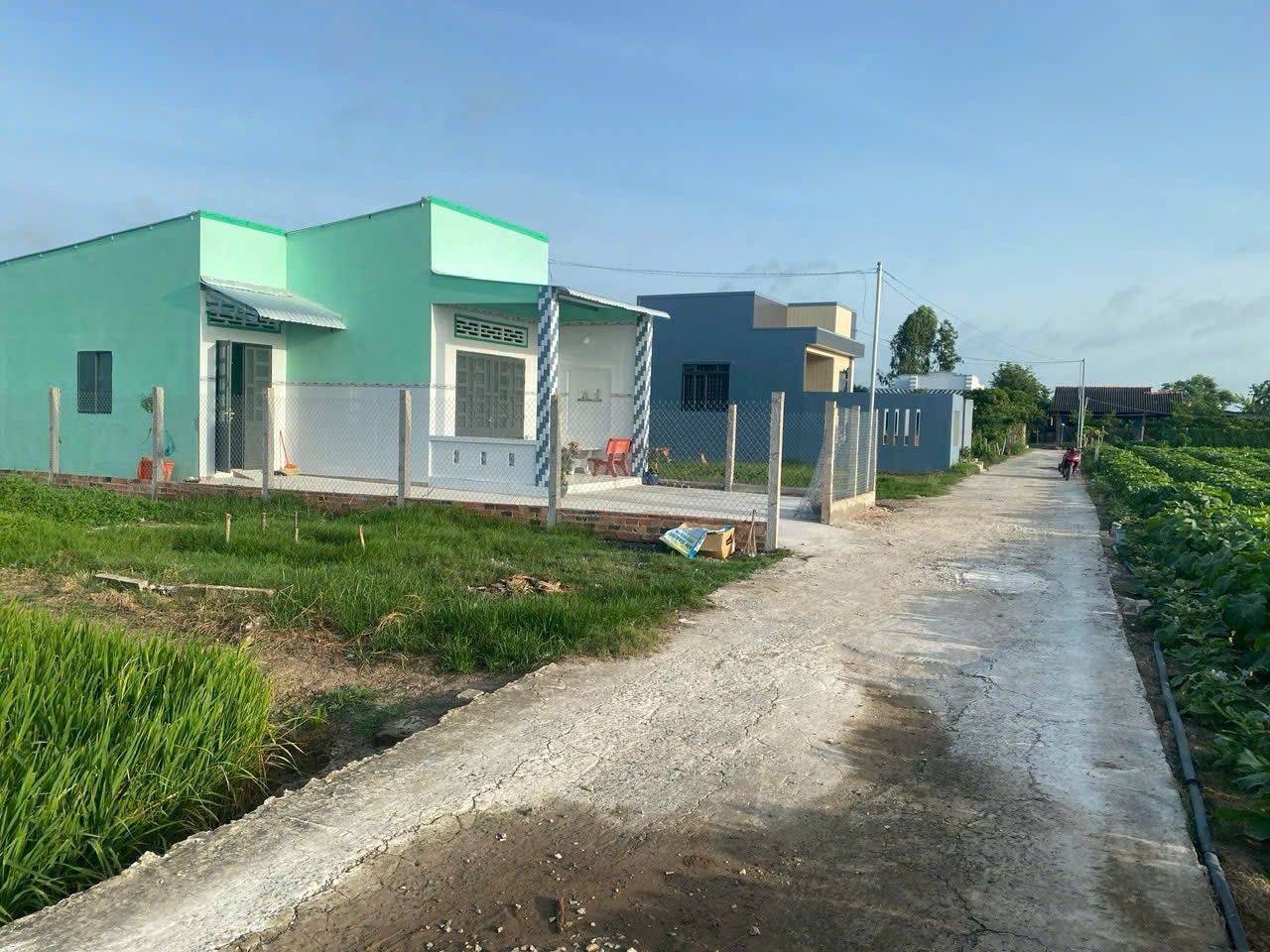 z7170309527701_ded7eb5df543fe510d0628d5b6e7128c