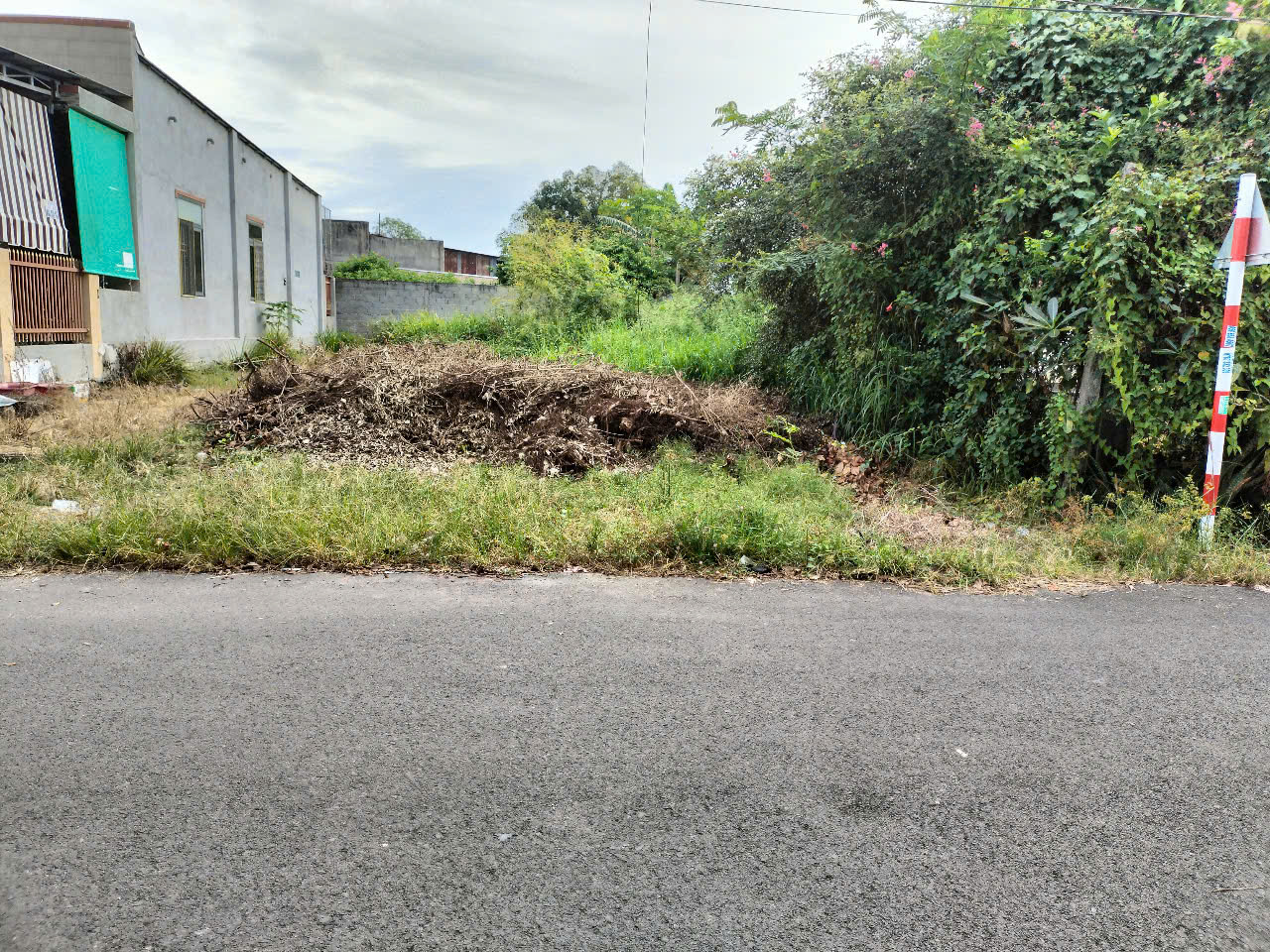 z7170436710350_86d3af08fc441a1d29f51e8c8e1c6dc1