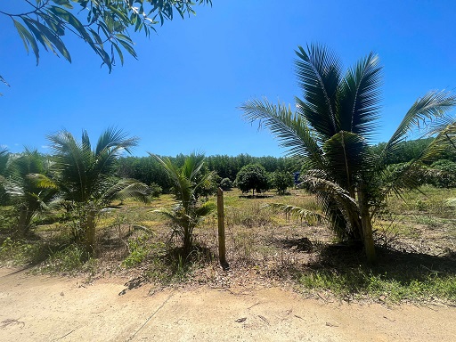 z7170503008294_1d3d6c6c030aab7145509174b478a859