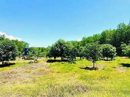 z7170504028555_8015cee5c92c49dd0537d4b7892a8760