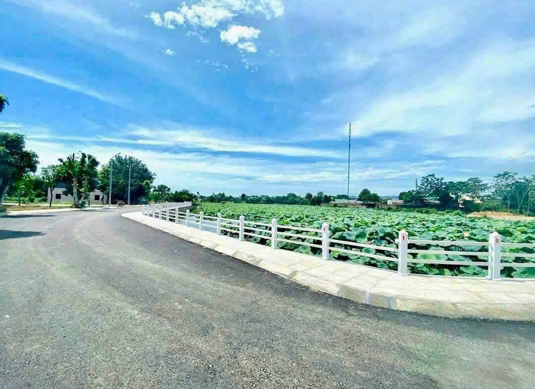 z7170514938677_55644a3f3967f66988c2828ca1f154d8