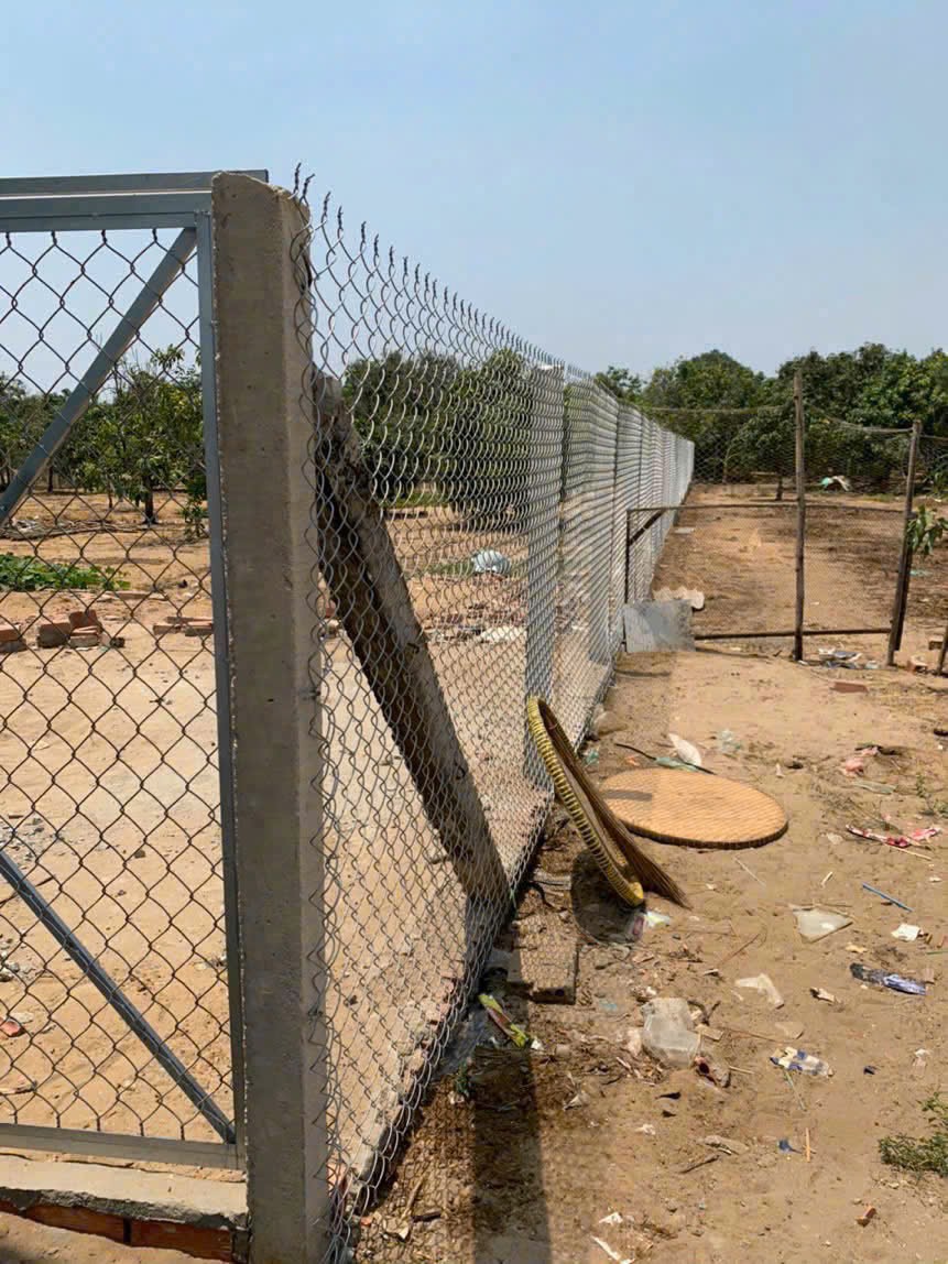 z7170620892302_381d1d5209e655ef924e69d01424e75f