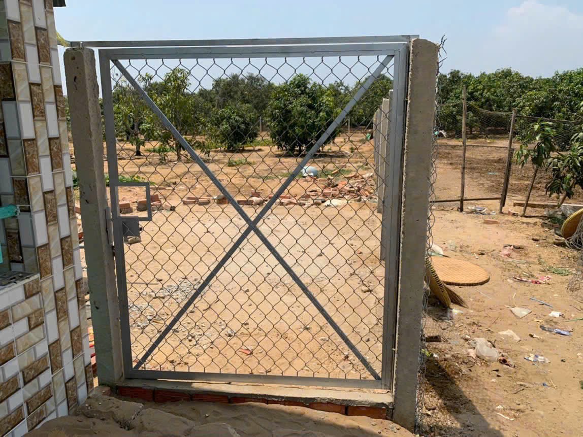 z7170620892303_0b63ba387743dfcf5f738cbbc3a88859