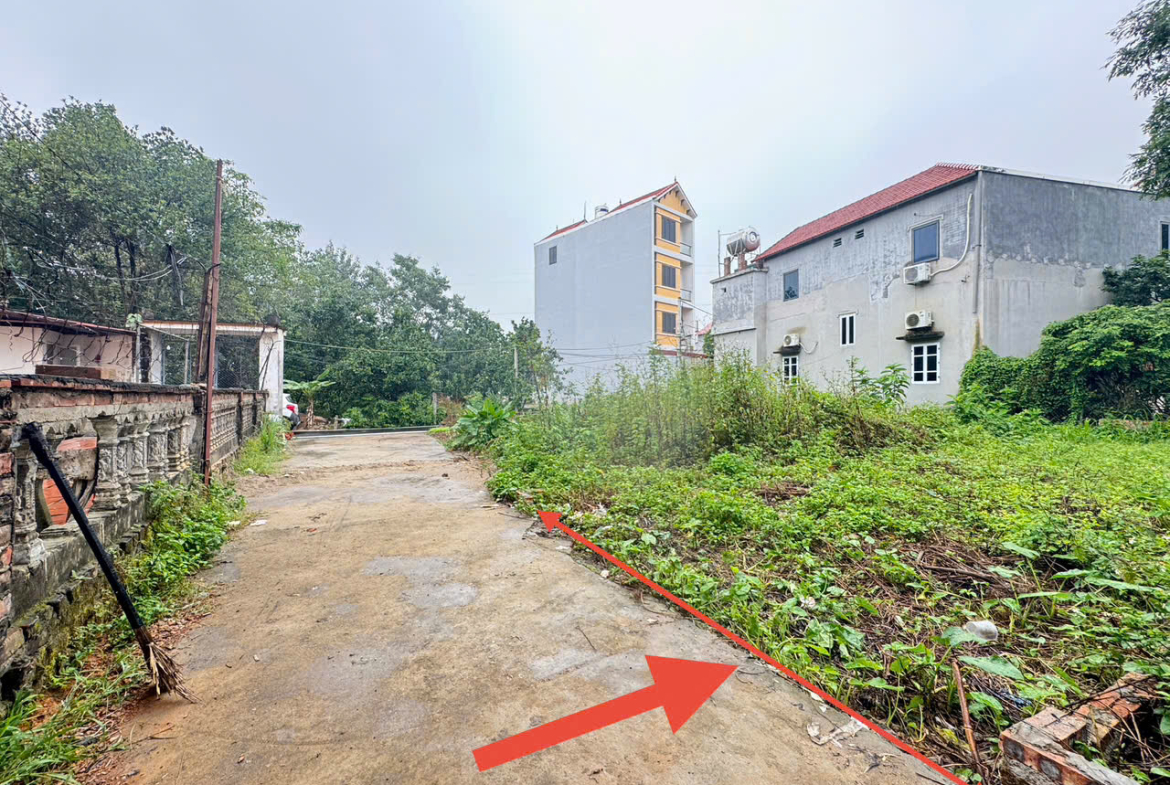 z7170756614349_054b69b4b7dfcfd7748db1416e19c97b