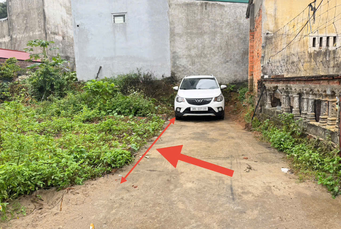 z7170756621007_6765dd1058afe255cb81964240125cc7