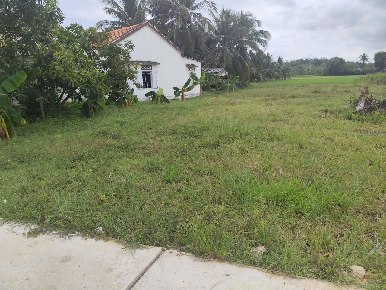 z7170790939968_084b6c2d20b5029a58f763473774a138