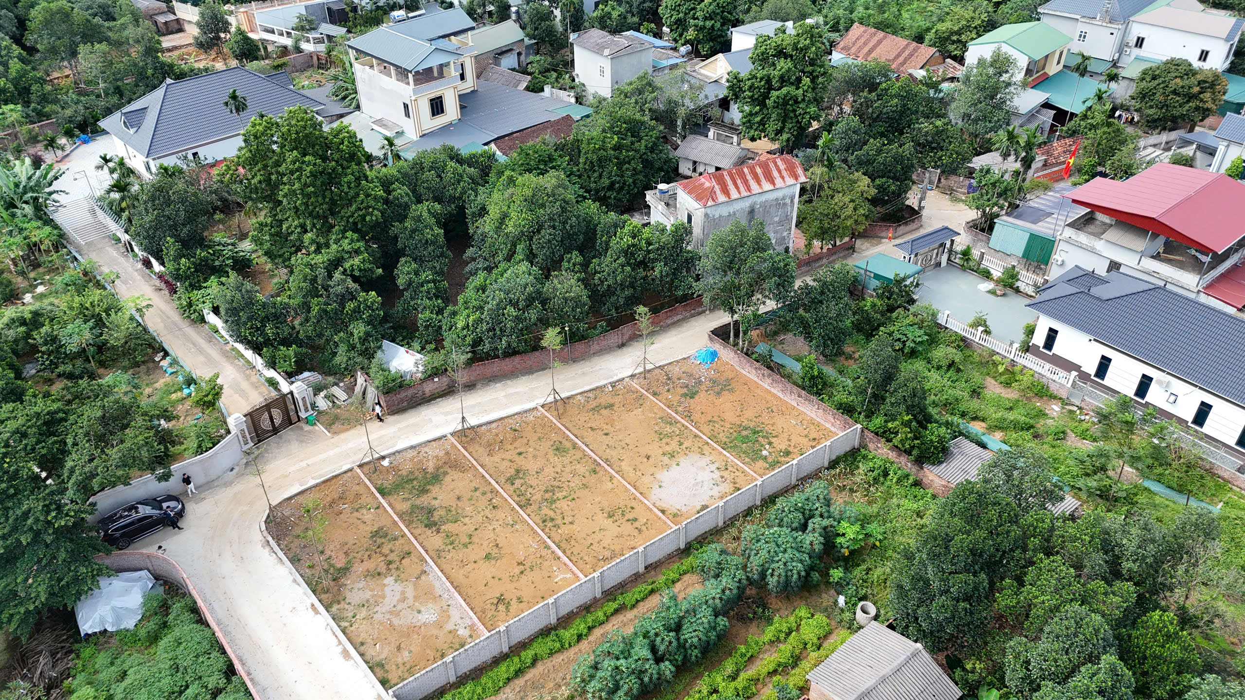 z7170876929006_e91a658ff972fa4dcdd914ee5a9ed8a2