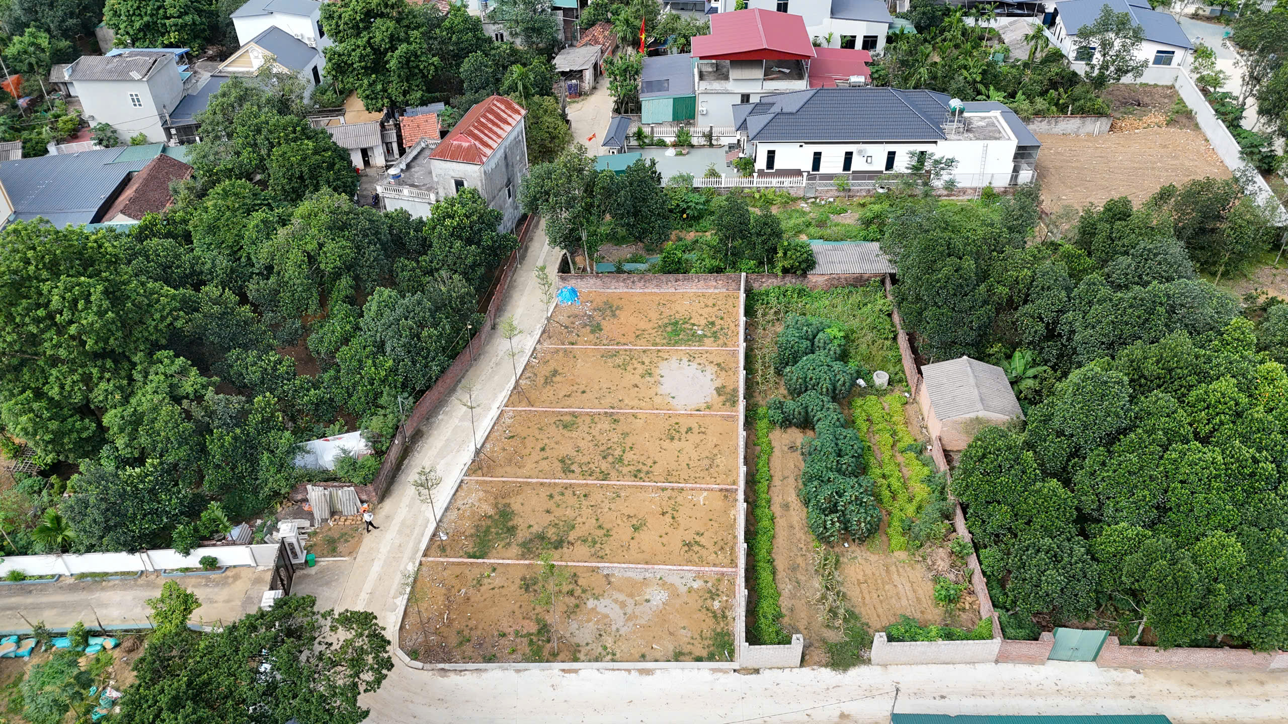 z7170876929286_e39cd1079778bc77a8a58438fdbda8f8