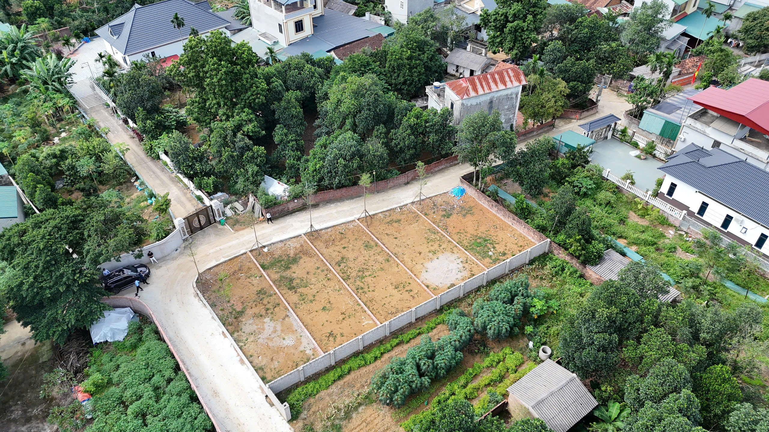 z7170876947803_3b003b648d9ca2370afa3a255d61e727