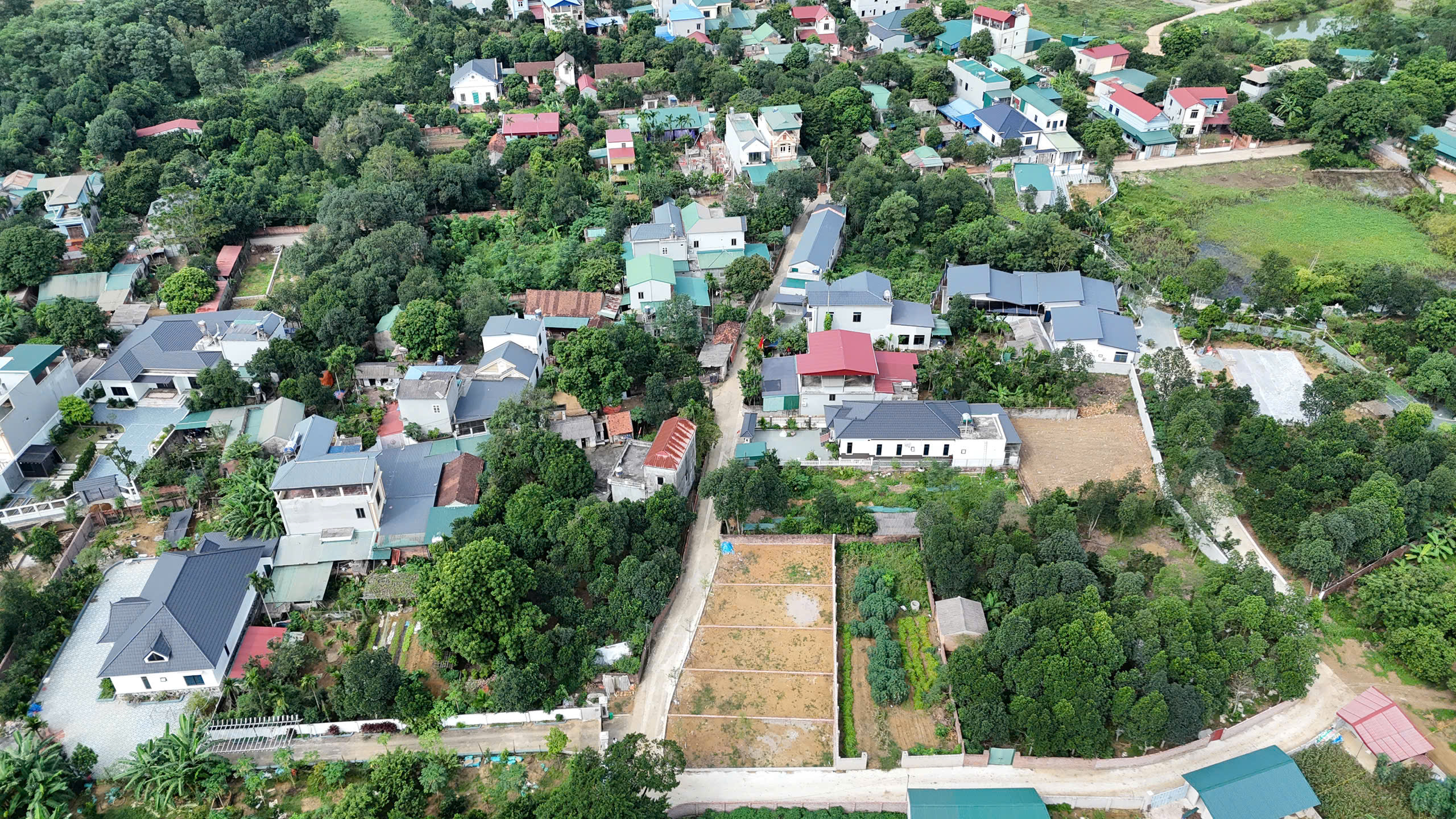 z7170876958950_1ce87e3caf5d89976a446bdebbc4df7f