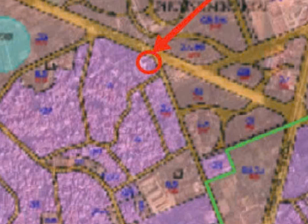 z7170938868352_a44b2c018dabcee8fe136b47ac78c4f3