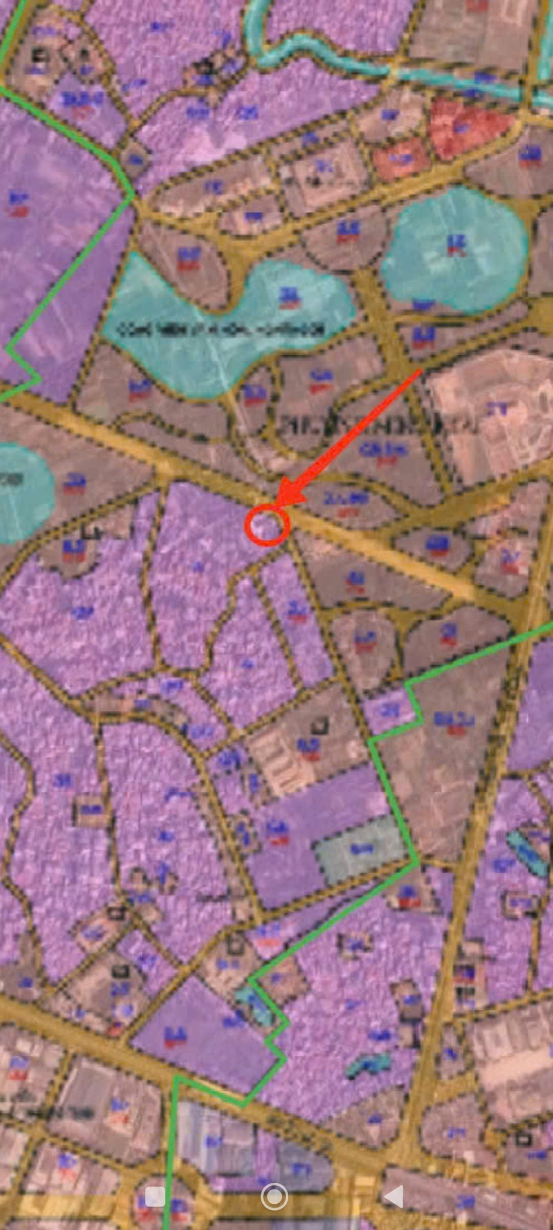 z7170938868352_a44b2c018dabcee8fe136b47ac78c4f3