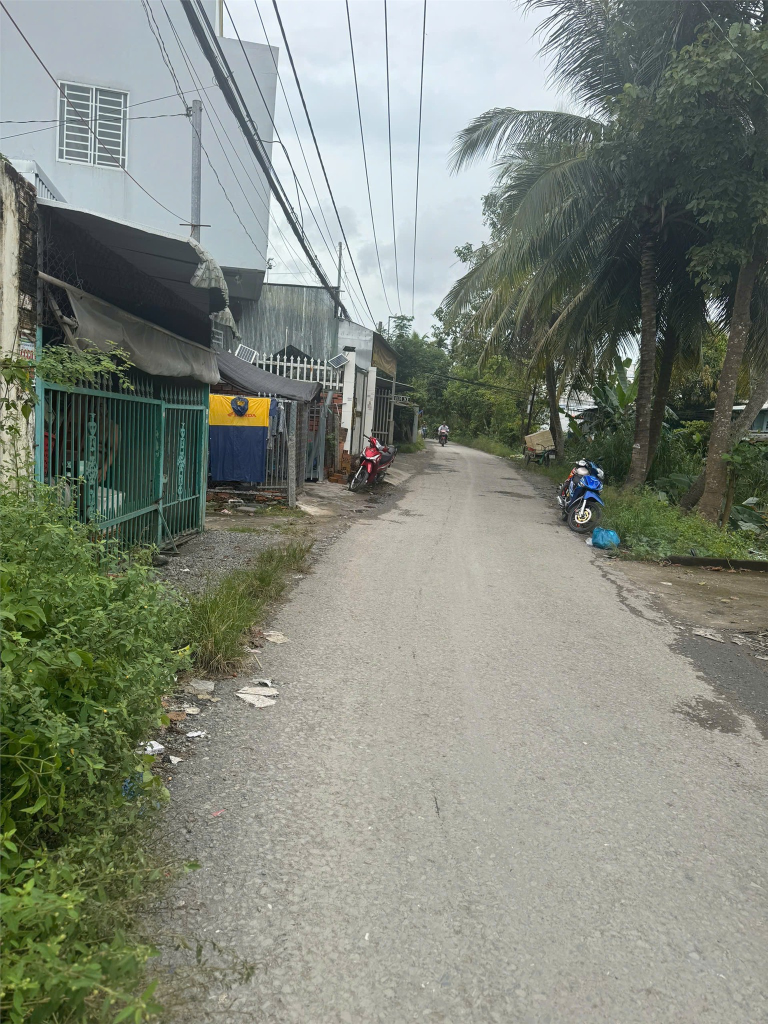 z7171223642684_b7e74dc562880d426a13281d89ceaa80