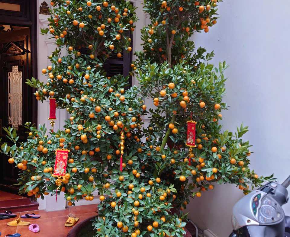 z7171550464380_b1109a134cef8a03f45cc00b0746fbb5