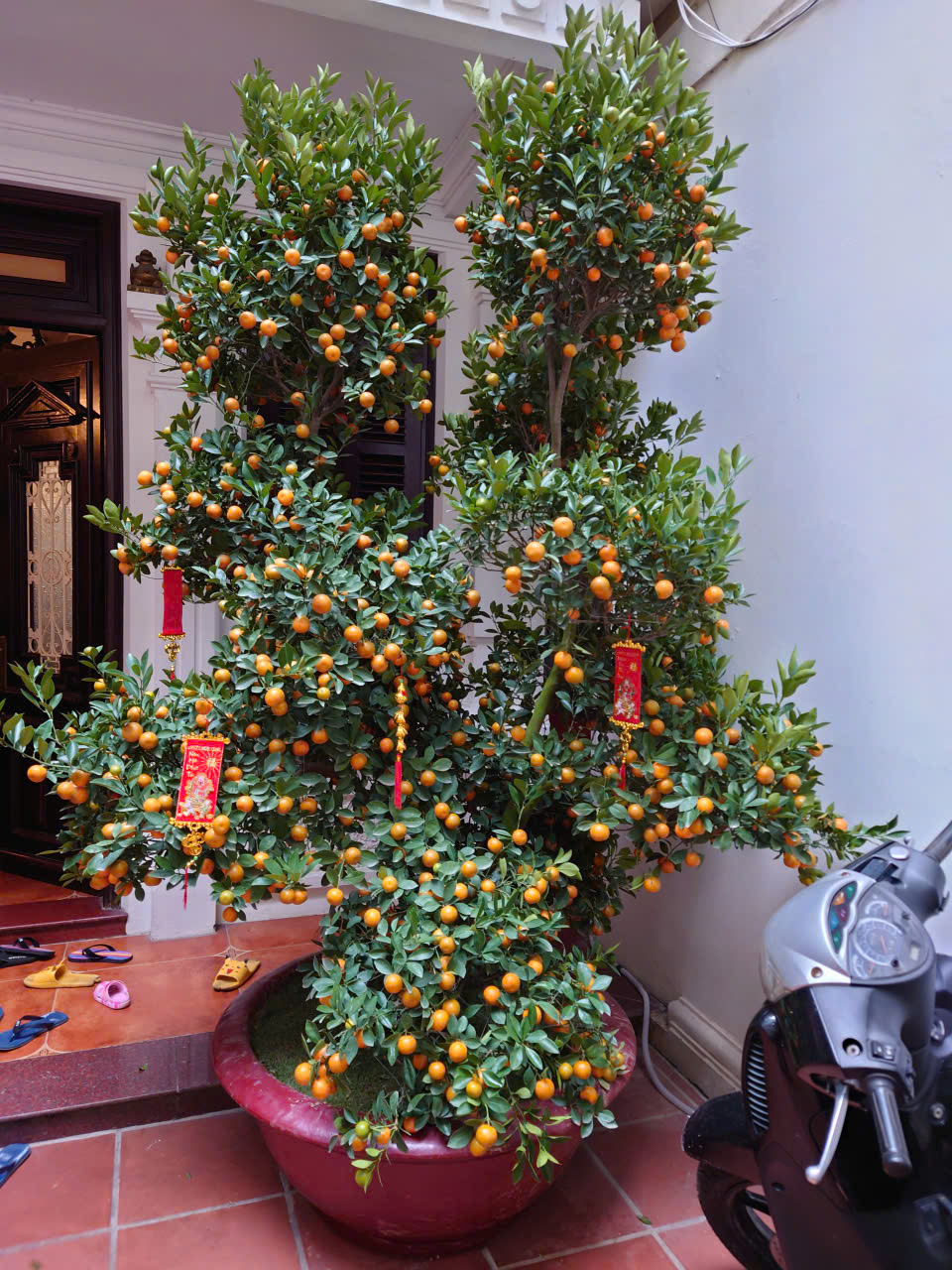 z7171550464380_b1109a134cef8a03f45cc00b0746fbb5