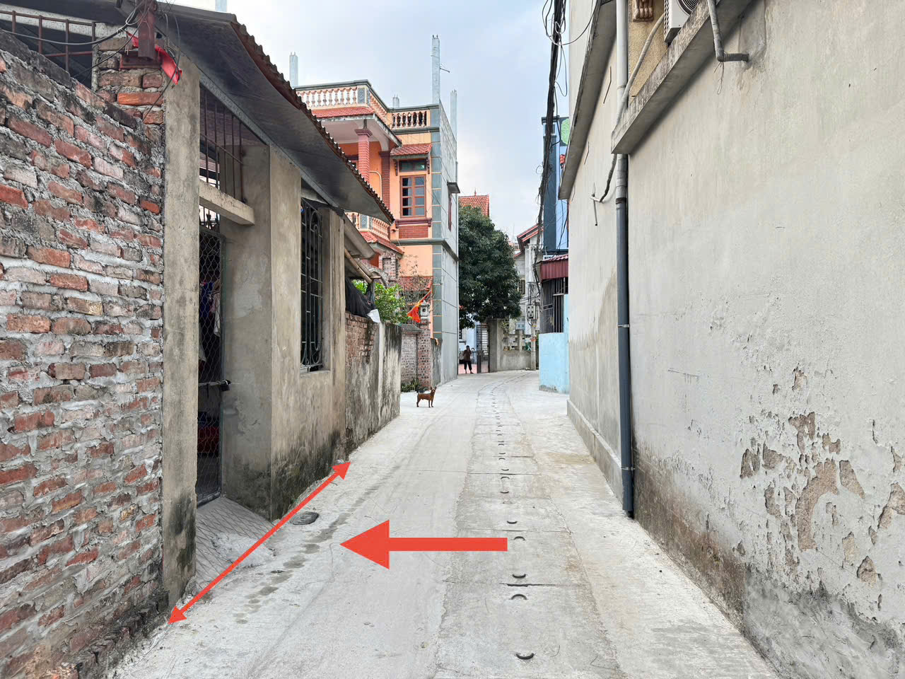 z7173151393601_8488e33b03c31f14bbea6de0233855a6