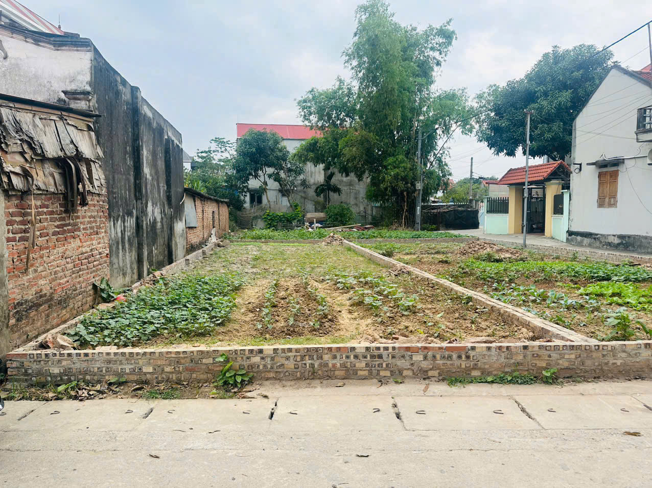 z7173191917813_e497ba41263c5c8495baeeb3cdfc77e8