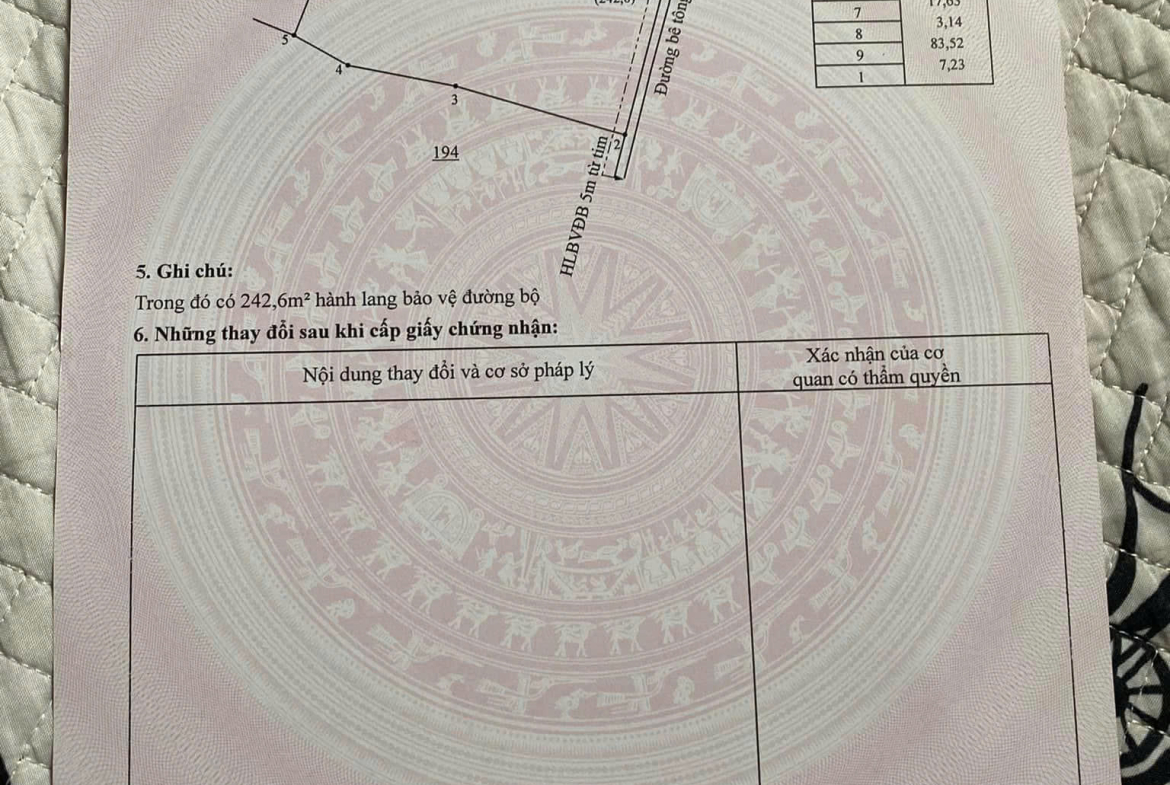 z7173270590103_3a811a781729102147081d858a82025a