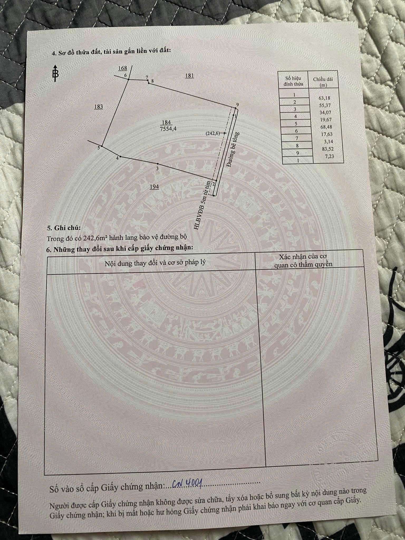 z7173270590103_3a811a781729102147081d858a82025a