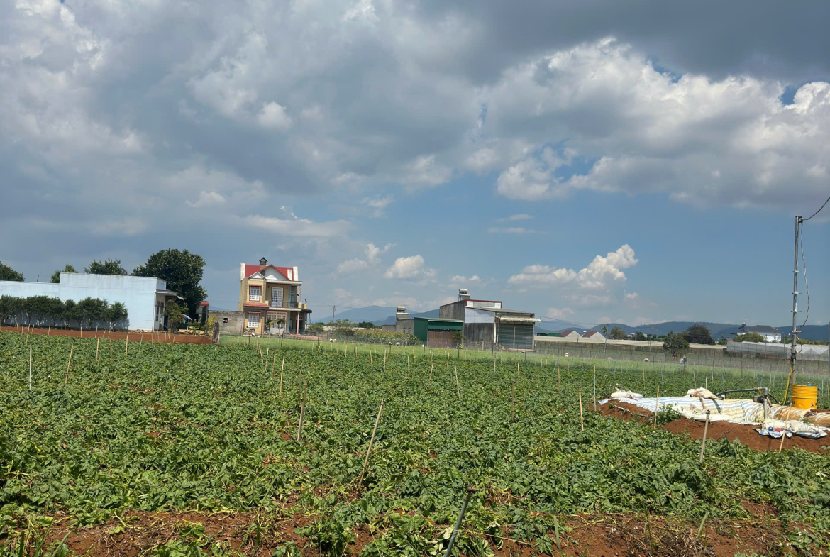 z7173694000837_861bcbc4bcee01d659d1c65cef90dc03