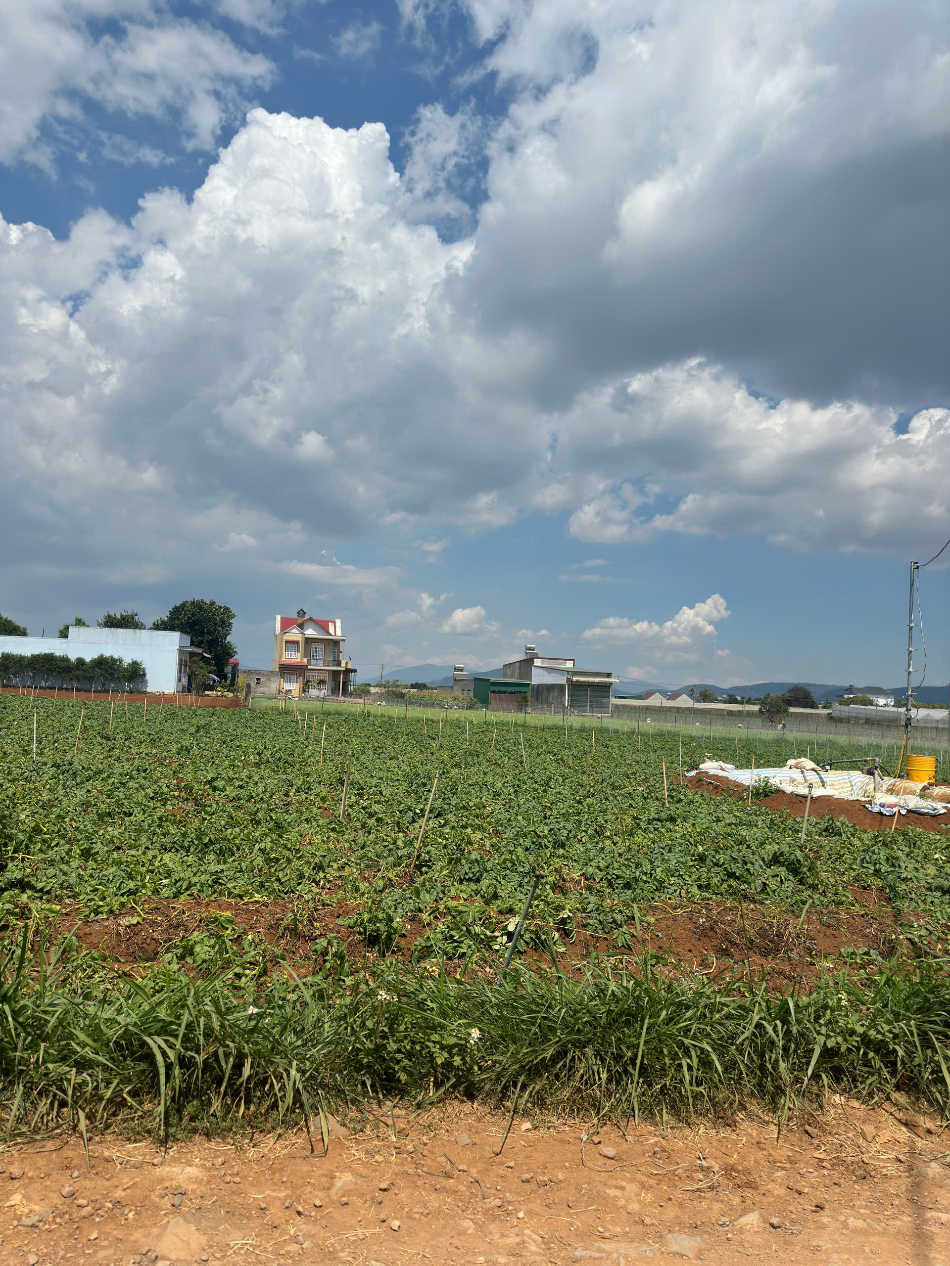 z7173694000837_861bcbc4bcee01d659d1c65cef90dc03