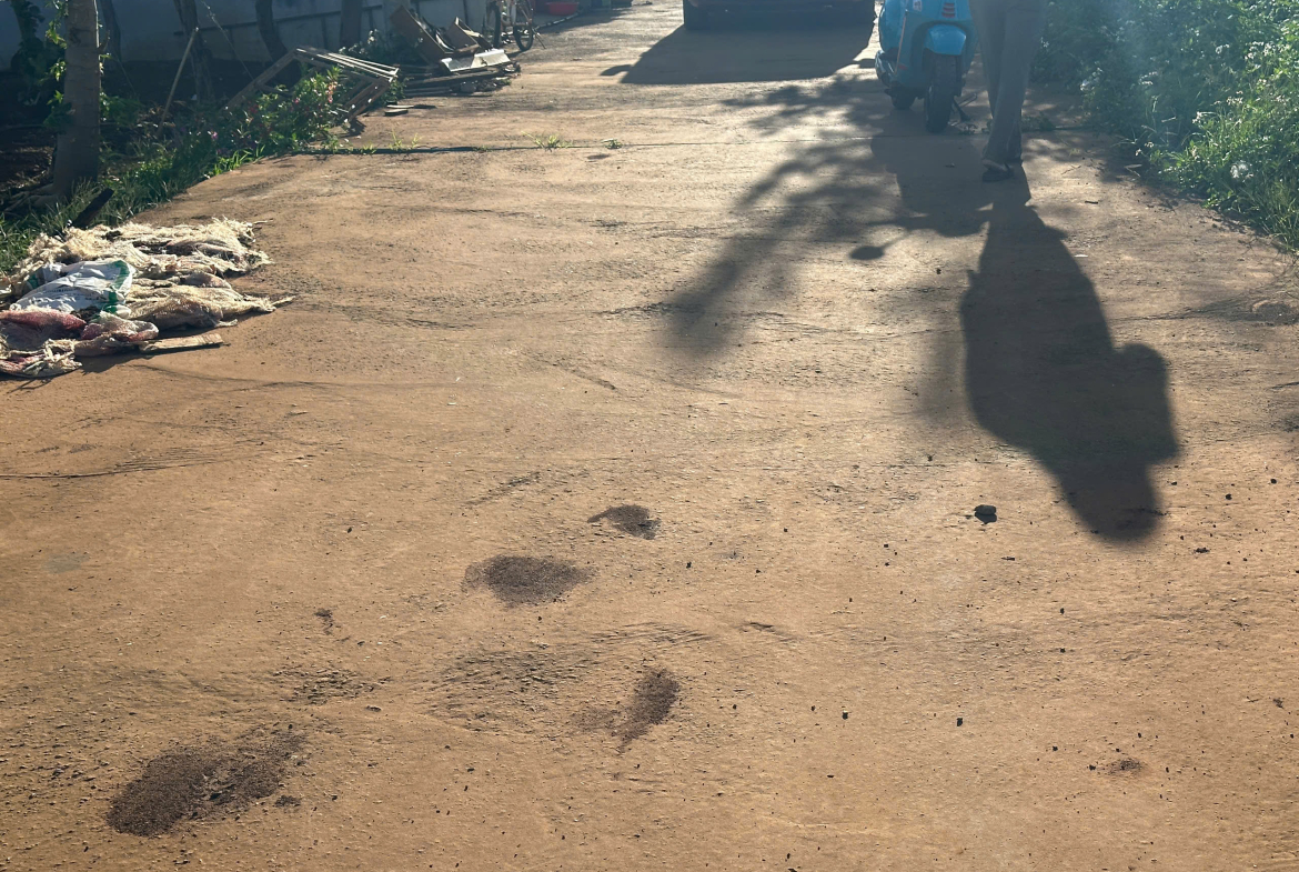 z7173694000886_708fbfb09eafe5b53c0f2a981a0ecdcf