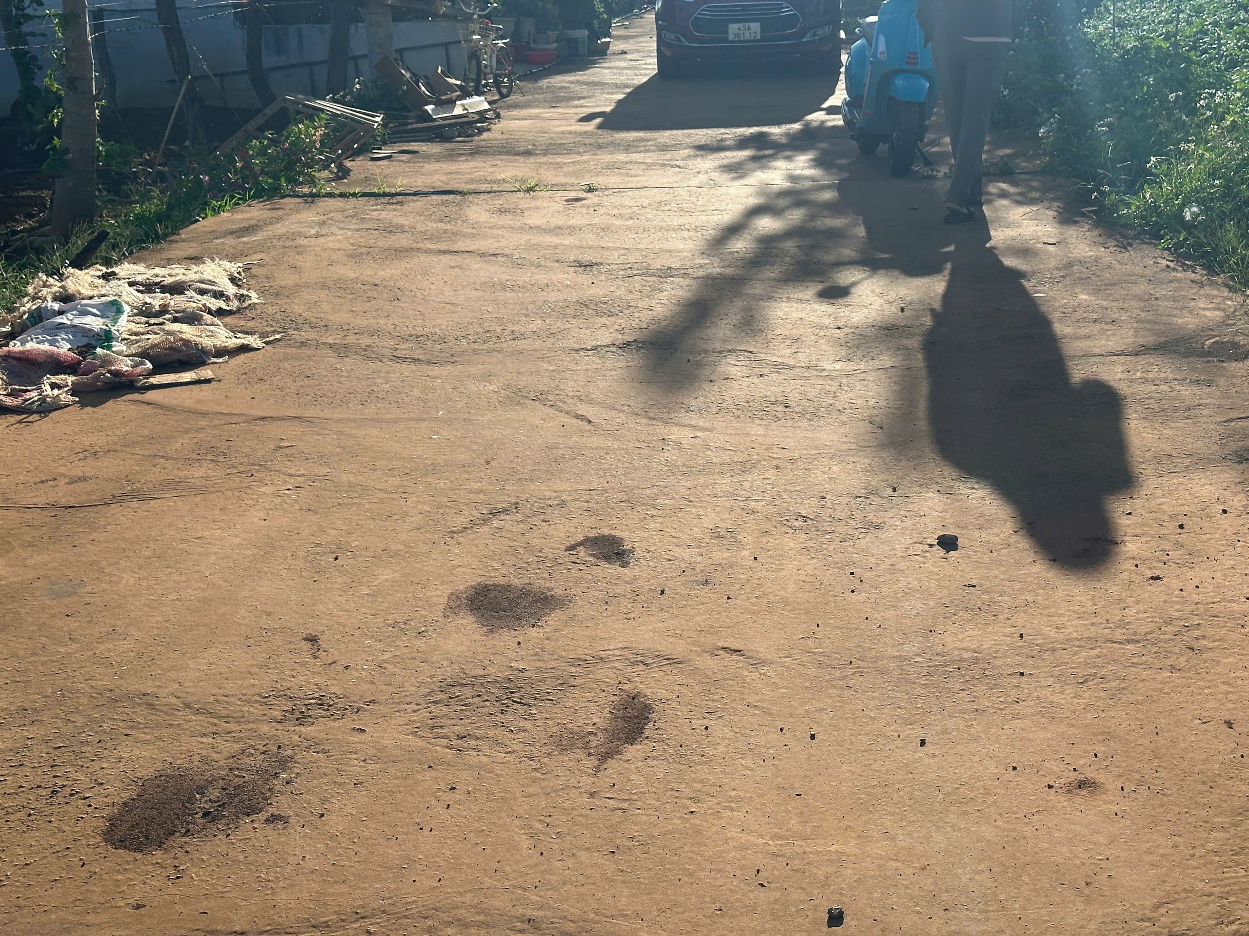 z7173694000886_708fbfb09eafe5b53c0f2a981a0ecdcf