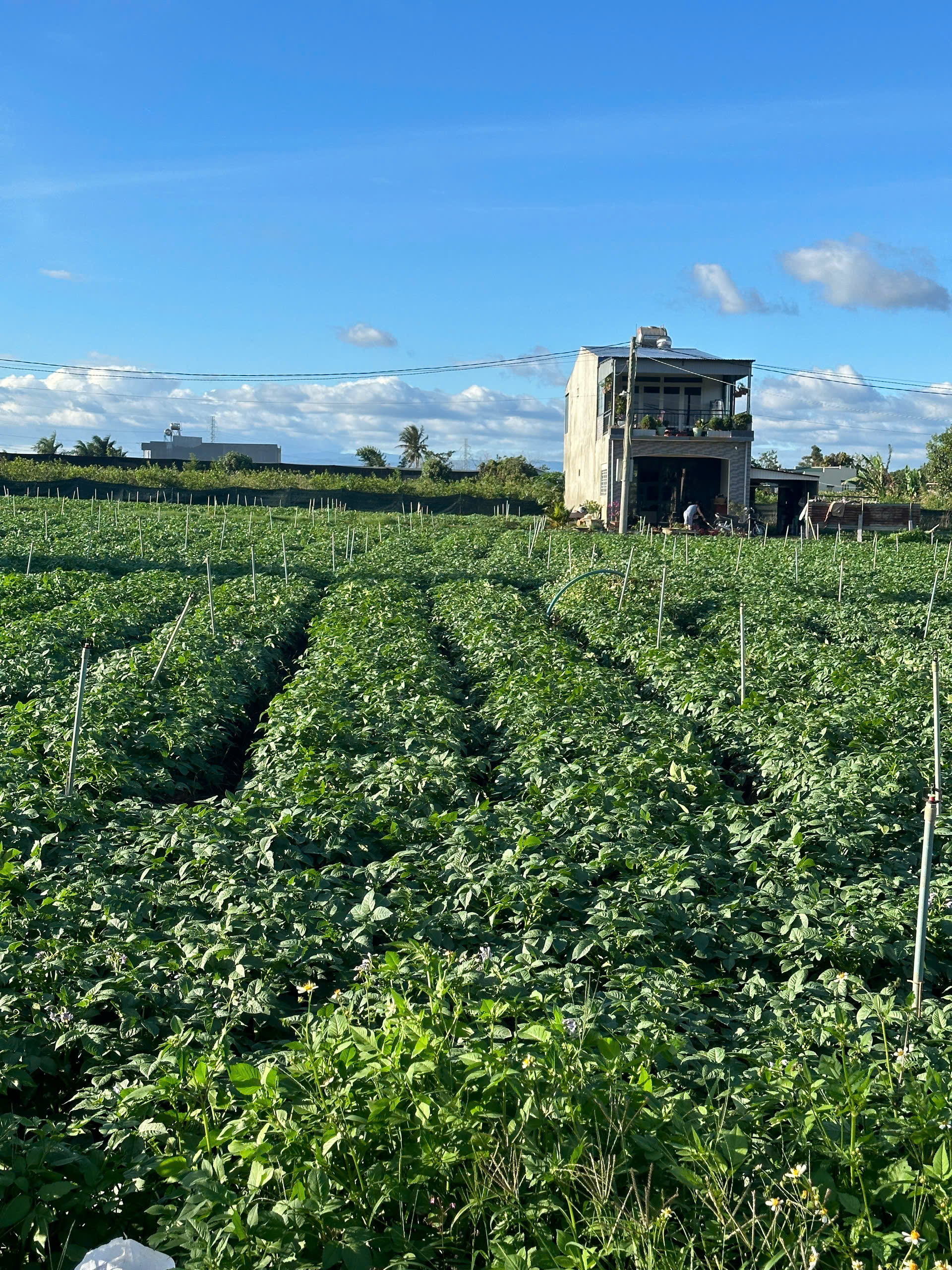 z7173694000888_2ce0da64a5f3b2f3acc5d2d77faa0c1e