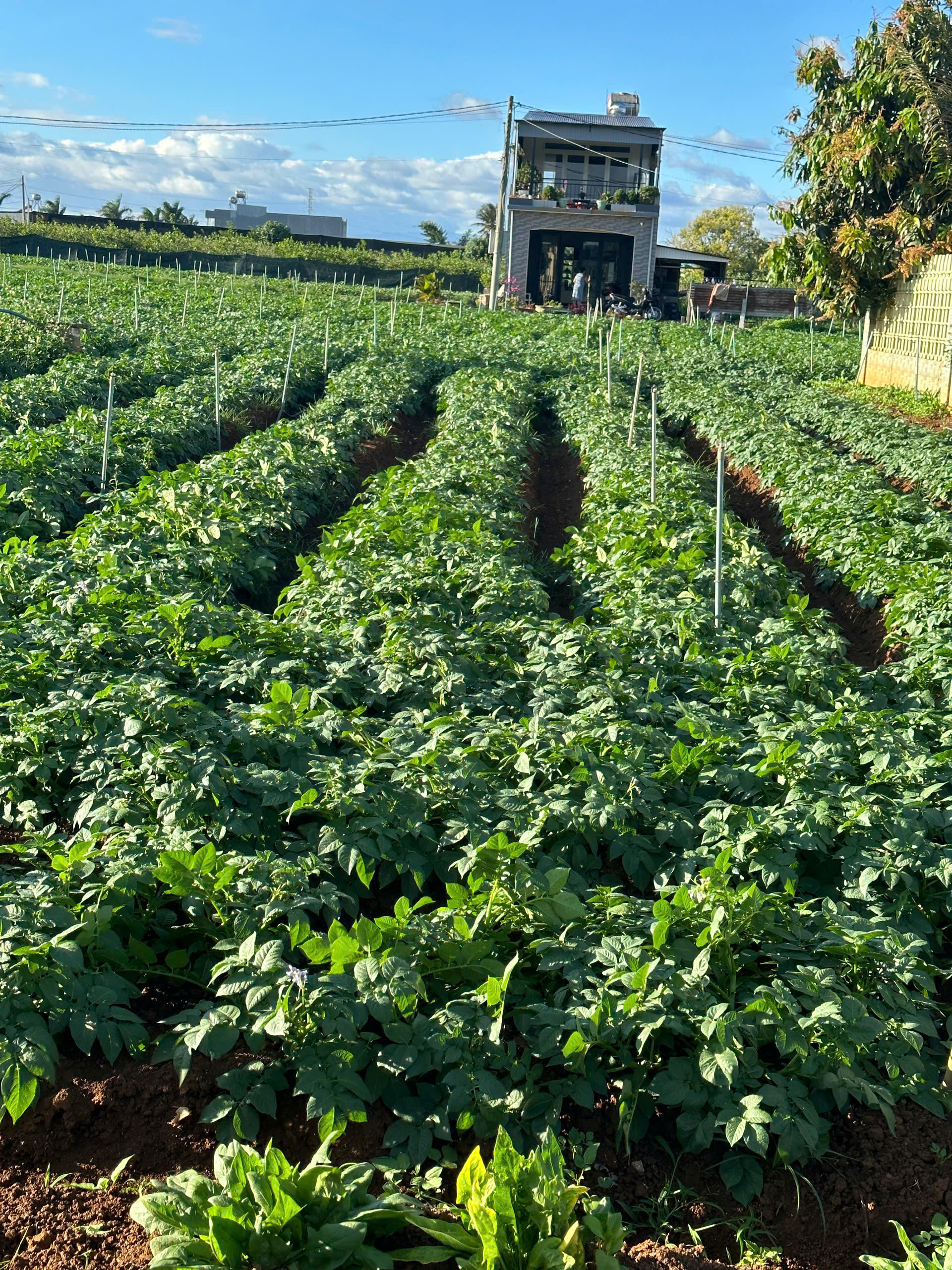 z7173694000889_25b1c7b68807e787ed34f277ae5067c4