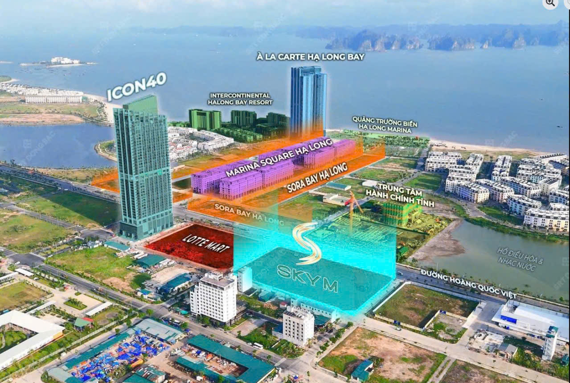 z7173785000322_83b896f1de41312dddd92c4020746ccb