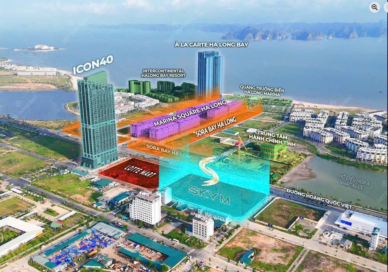 z7173785000322_83b896f1de41312dddd92c4020746ccb