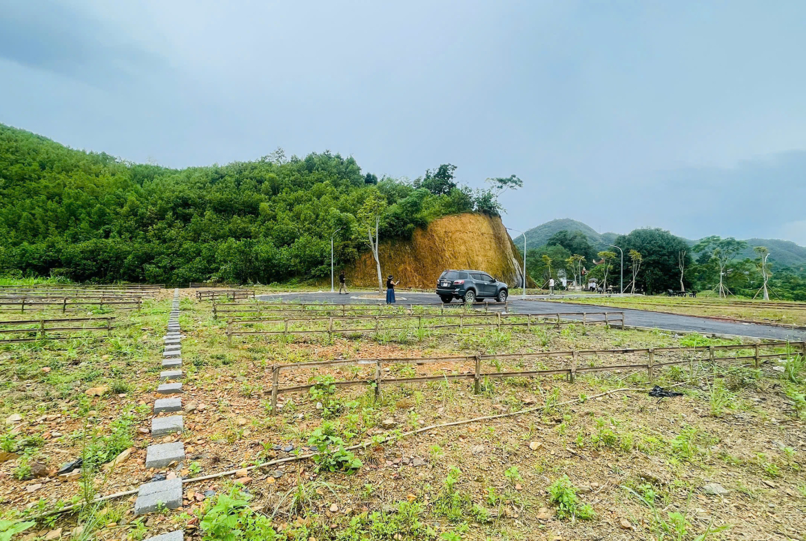 z7173882405360_2c02e77b6232eacdbaeae351aa8f8151