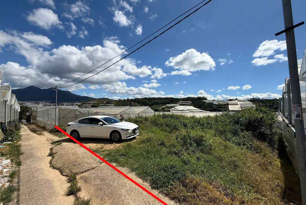 z7174093664458_cb561a7ae929e57cc18a0eda7c5f20a4