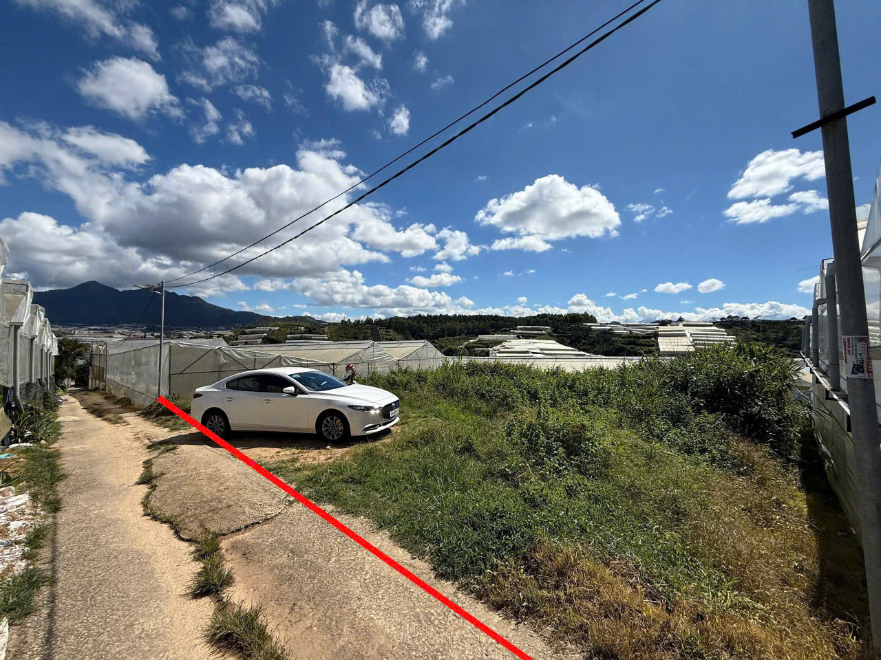 z7174093664458_cb561a7ae929e57cc18a0eda7c5f20a4