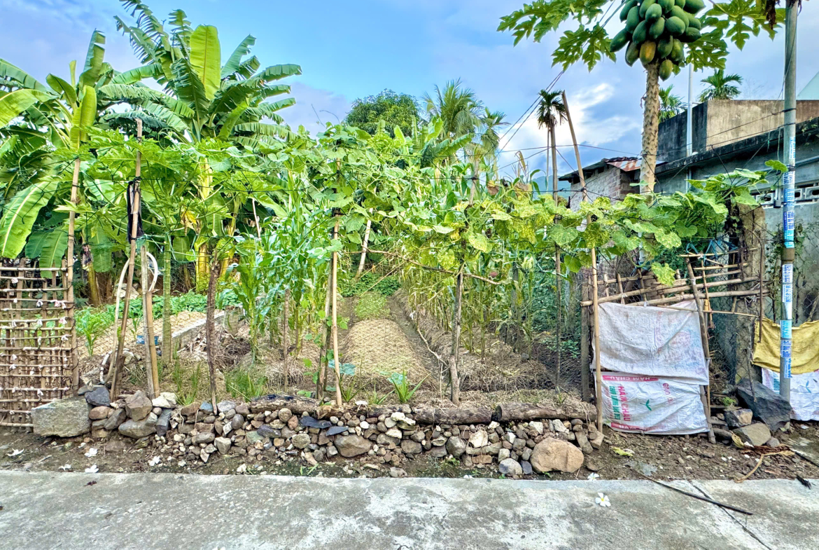 z7174169128347_cf0b5f1679047cd9a11680a896a4dc85