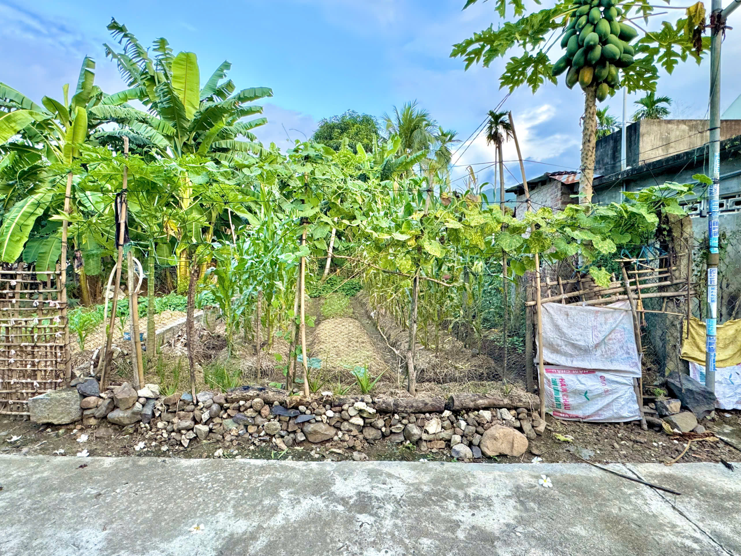 z7174169128347_cf0b5f1679047cd9a11680a896a4dc85