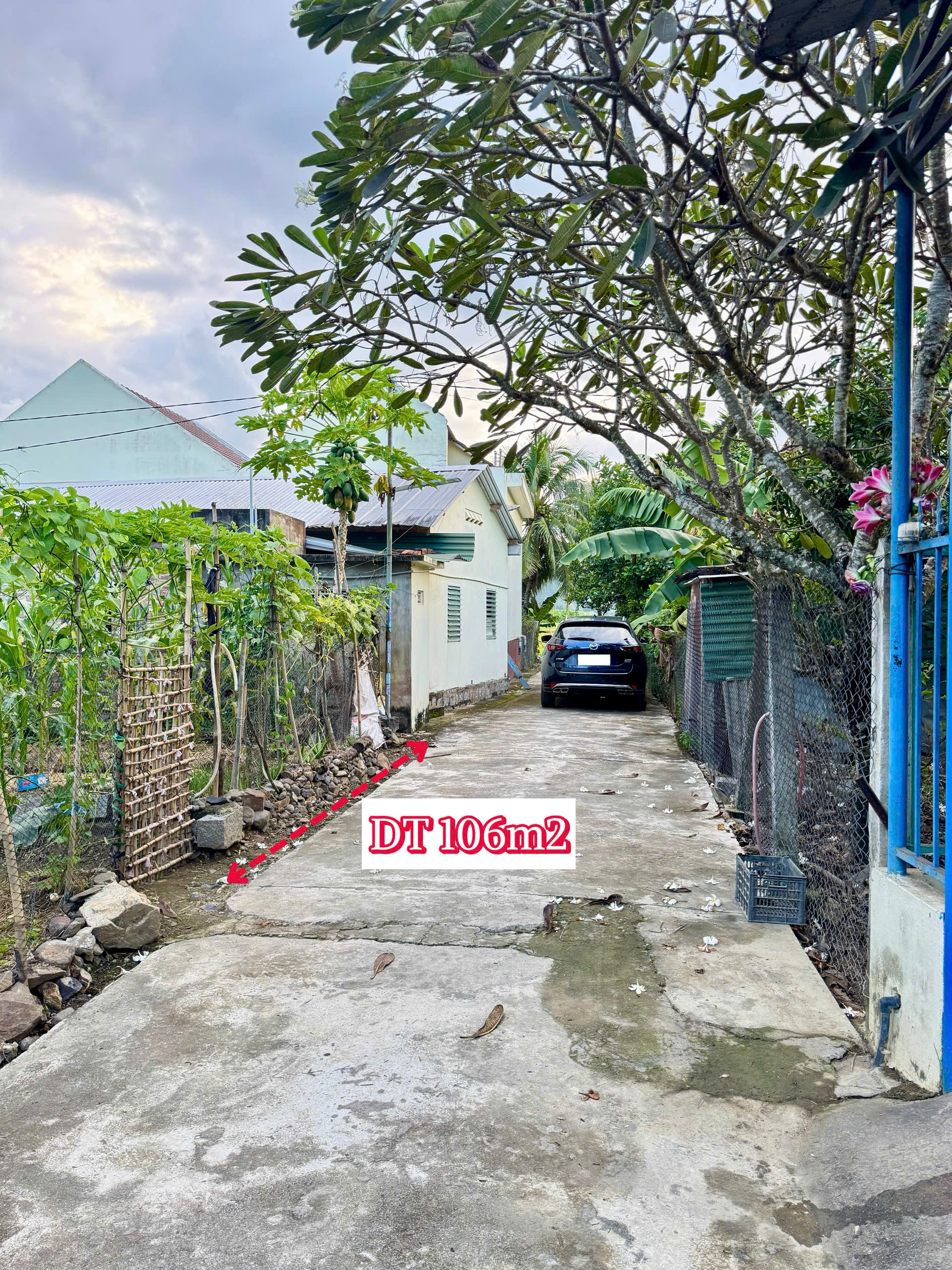 z7174169137932_576e90f66c82f117d4ef4e2bf77eafee