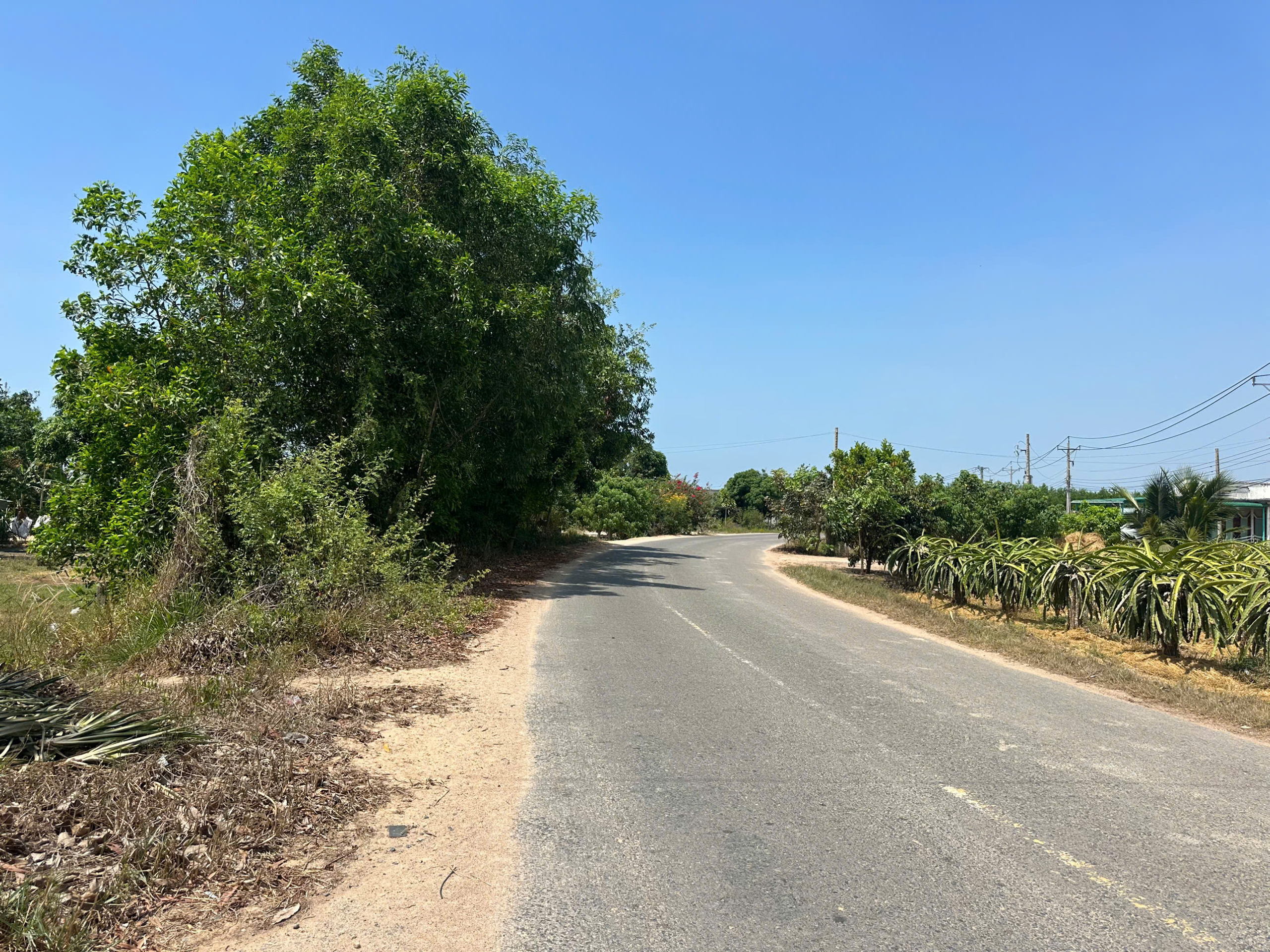 z7174491005505_2ddebad8b4702108b5ec932239478235