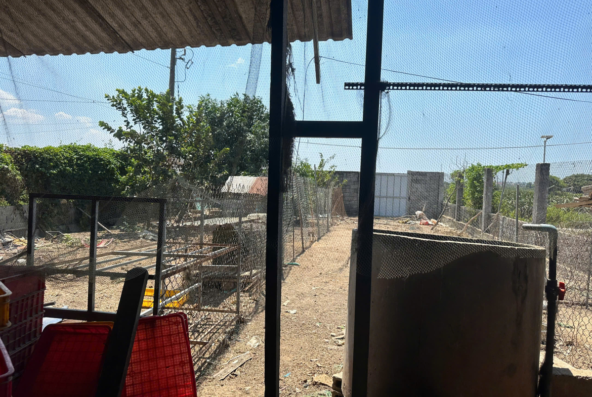 z7174491021929_aee726cbebb7dd6e6340c71d61747018