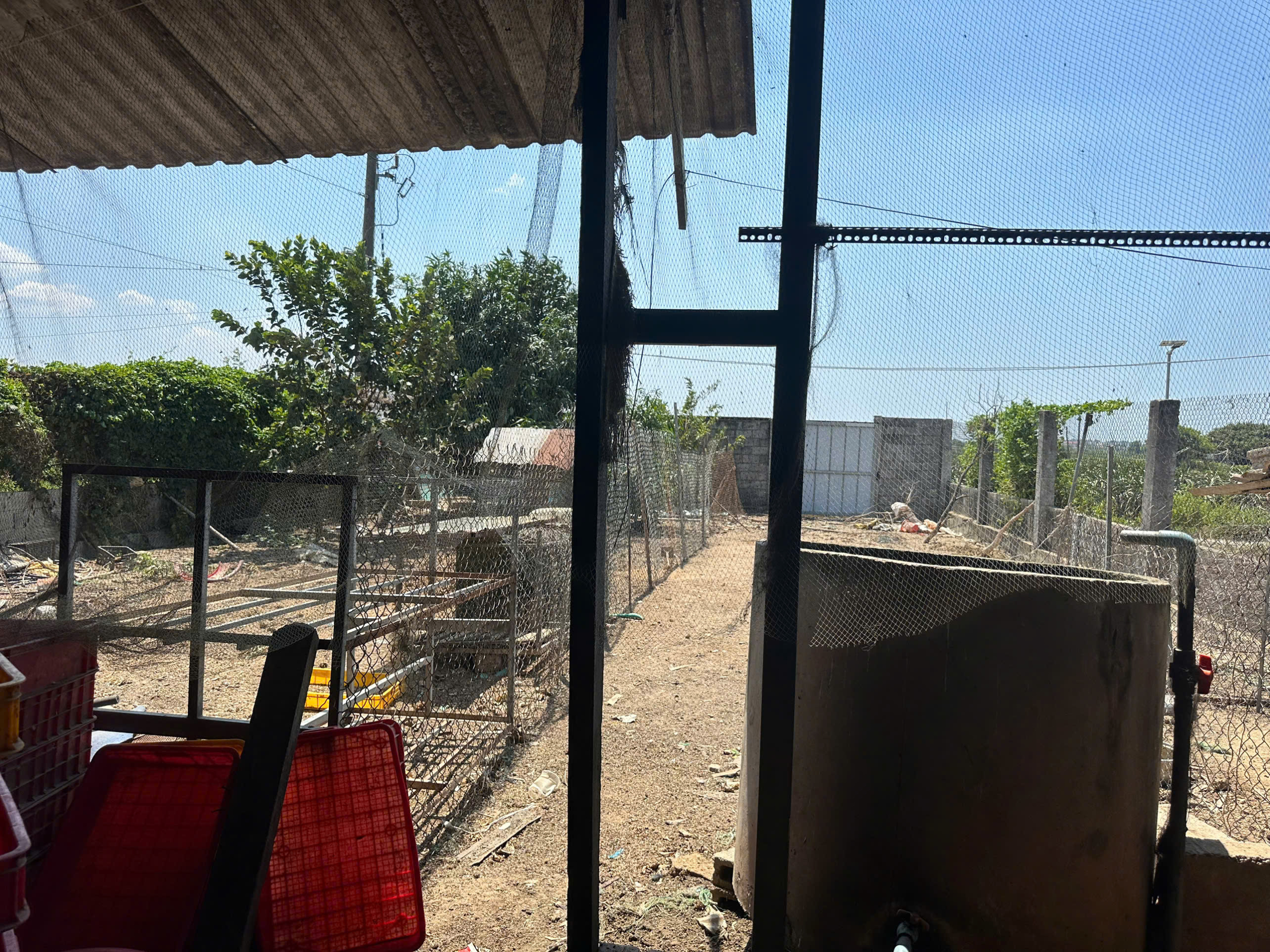 z7174491021929_aee726cbebb7dd6e6340c71d61747018