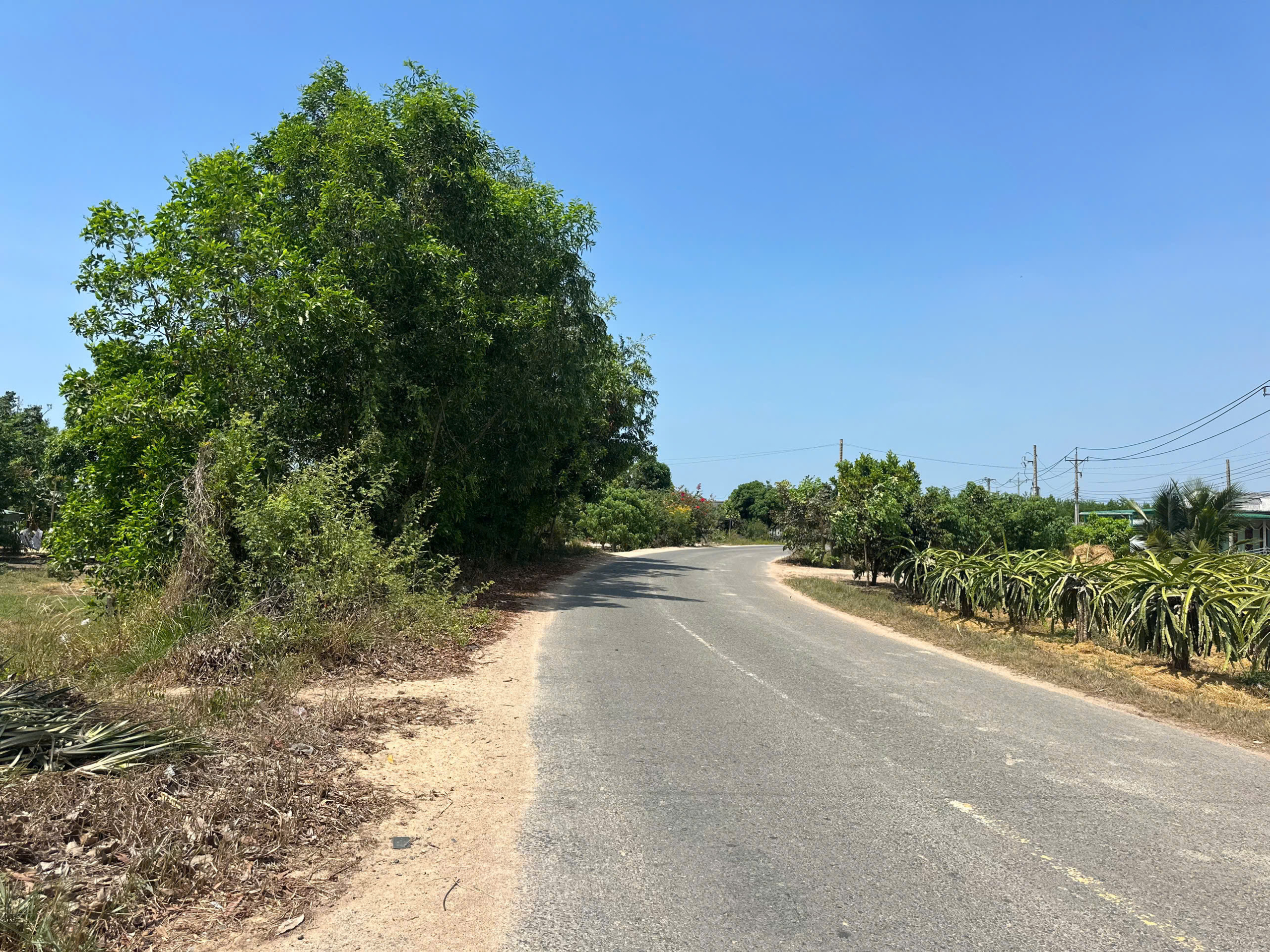 z7174491050458_f5729b0197e2b38e5f8d9d09d6293170