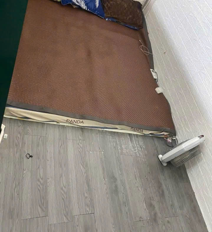 z7174545207949_adf740730e63836edc381396d26c221b