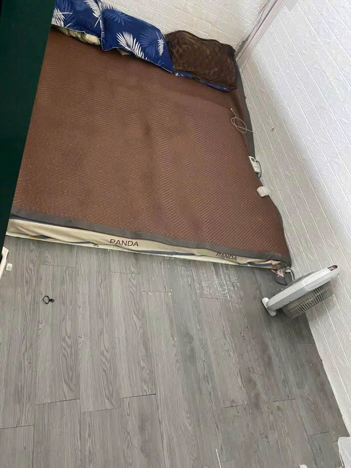 z7174545207949_adf740730e63836edc381396d26c221b