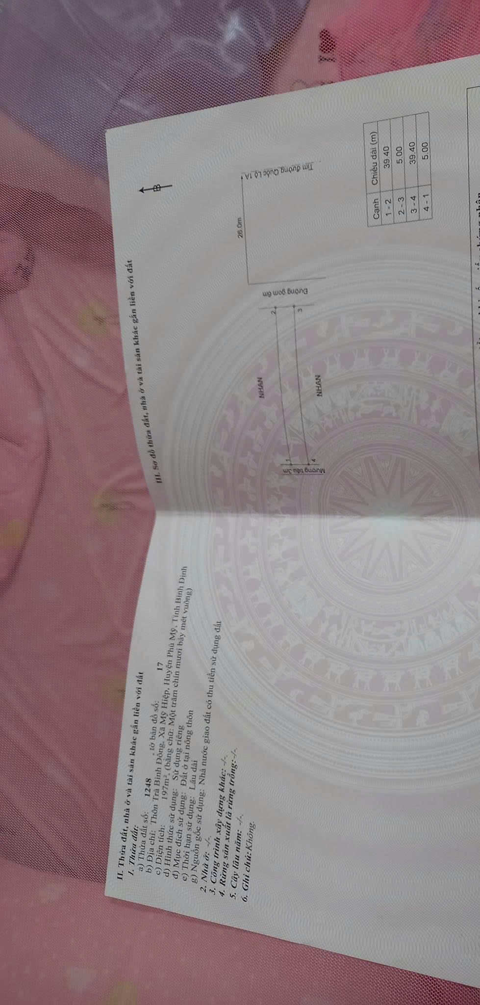 z7174578095342_a19d2ced94ee9551695227bb21f8e156