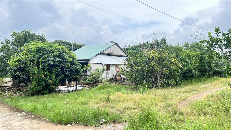 z7175951623723_04e7881cbb9d0fc96bc312f055058a01