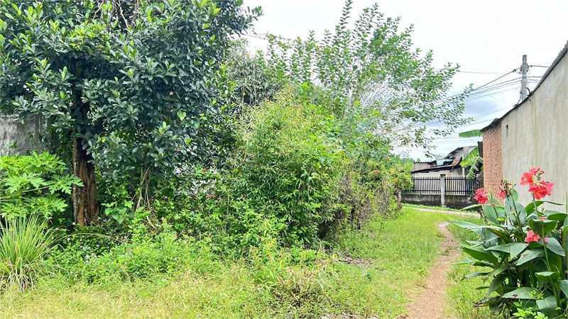 z7175951634877_648ec8c755ac0dc06e2727fbb29420e1