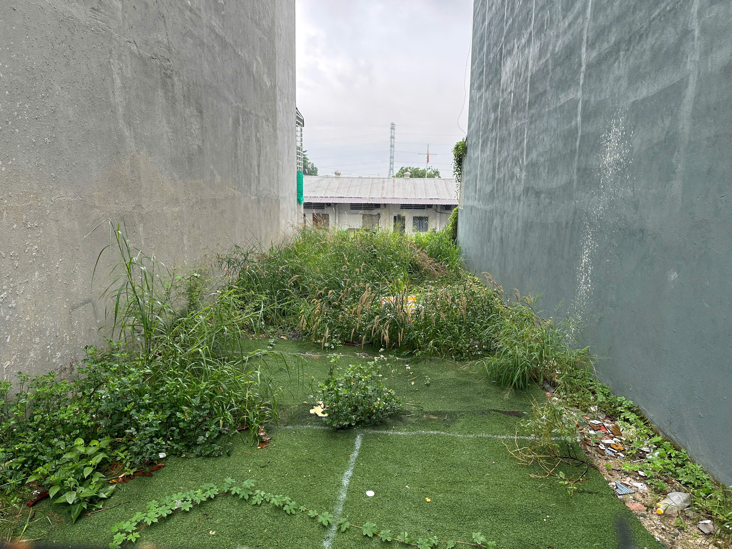 z7176265534758_d2d42a8ed326fa71aef529f8af218275