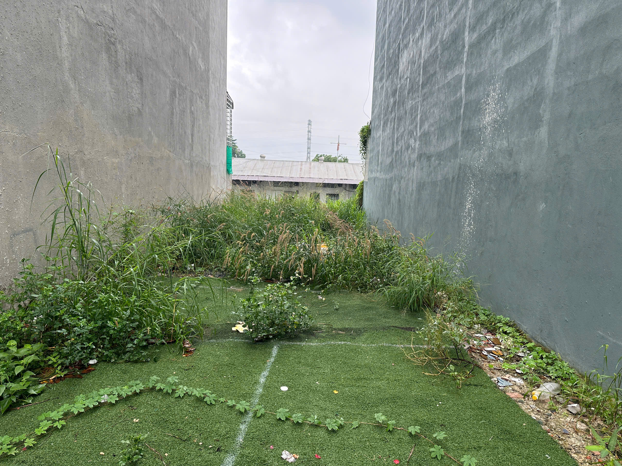 z7176265543311_00f0d1bcaf66a57e7cced984ee02663d